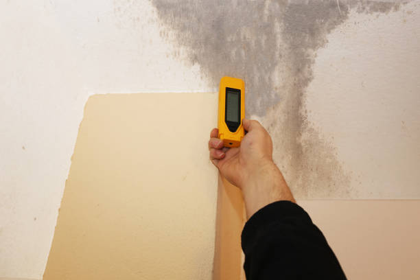 Best Post-Remediation Verification Testing  in Boyne City, MI