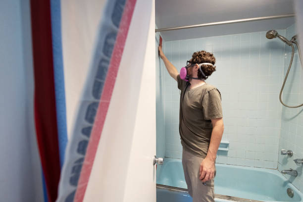 Best Commercial Mold Inspection  in Boyne City, MI