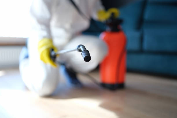 Best Forensic Mold Investigation  in Boyne City, MI