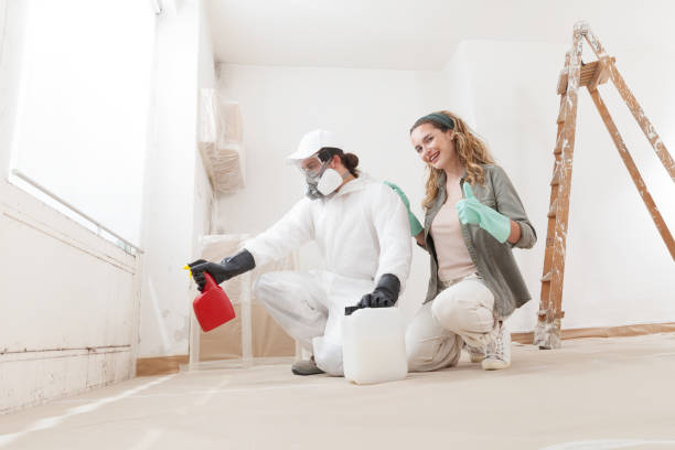 Best Mold Odor Removal Services  in Boyne City, MI