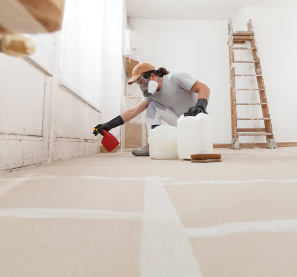 Best Water Damage & Mold Remediation  in Boyne City, MI